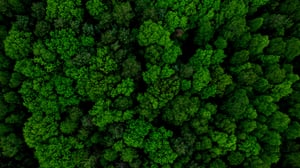 AdobeStock_361713848