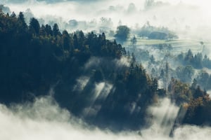aerial-shot-beautiful-tree-forest-covered-with-fog-bled-slovenia